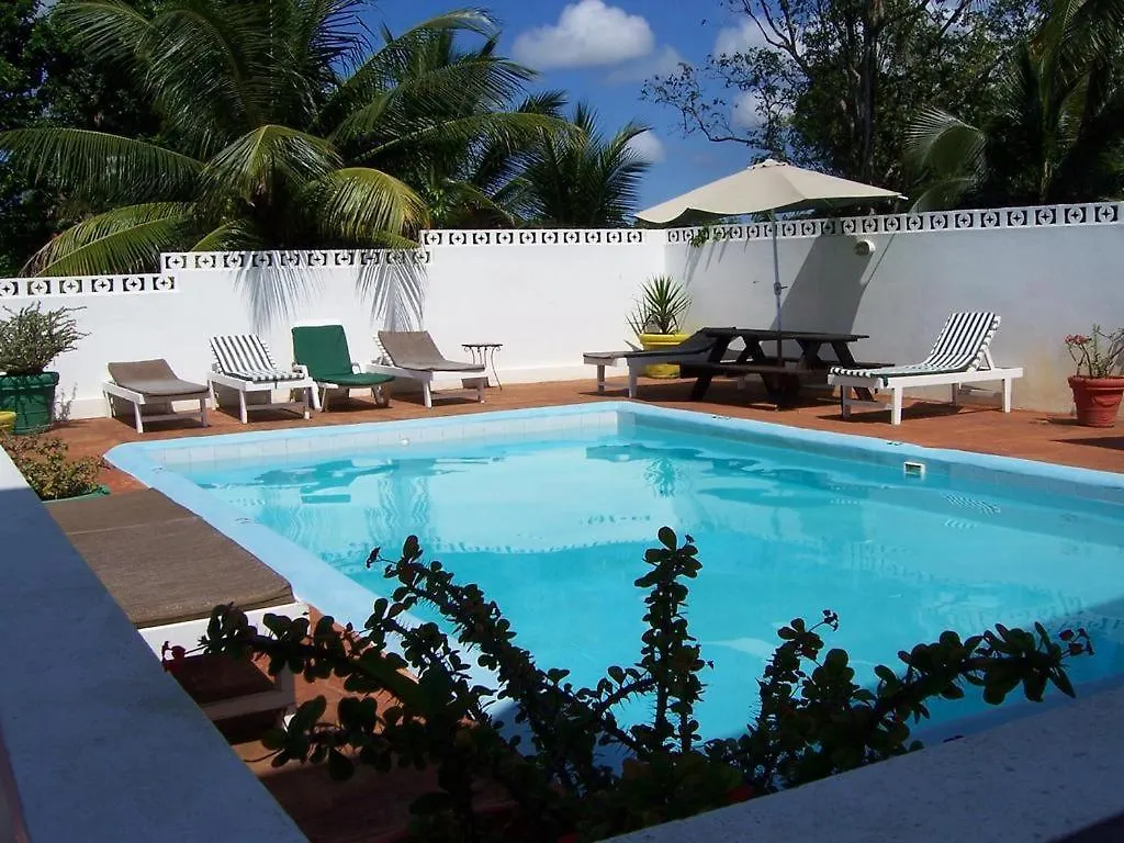 Almond Tree Villa Ocho Rios Pansiyon